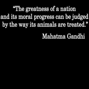 Gandhi Quote