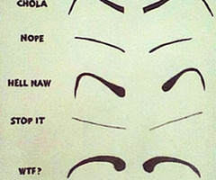 Fleek On Eyebrows Meme