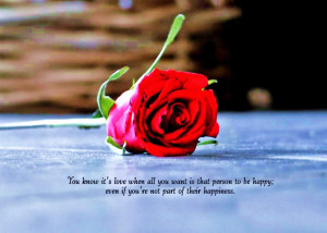 Single-red-rose-BG-with-beautiful-love-quotes-pictures.jpg