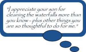 appreciate your son for cleaning the waterfalls more than you know ...