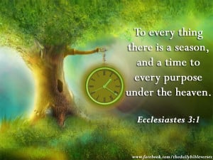 To every thing there is a season, and a time to every purpose under ...
