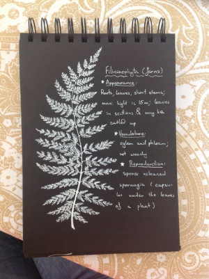 Pinned by Maria Yudina