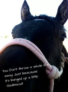 Horse rescue, you can change the whole world for one ♥ More