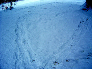 quotes before a big game