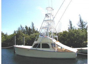 Location: Gulf Breeze, Florida