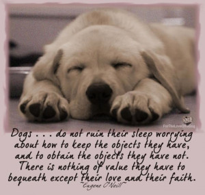 Quotes About Dogs Being Best Friends Dogs really are man's best