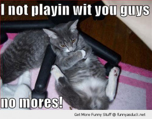 Not Playing Anymore Grumpy Cat Lolcat Animal Funny Pics Pictures Pic