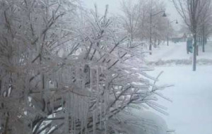 Emergency declared, freezing temperatures sticking around