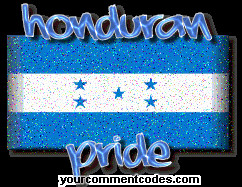 Index of /img/babyj3nb/getmyspacequotes/yourcomment/flags