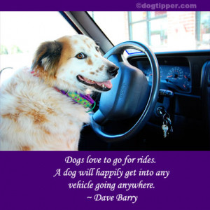 We know that many people think that ALL dogs love to travel…