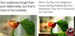 ... the most Hillarious #NoneOfMyBusiness Meme by Kermit The Frog