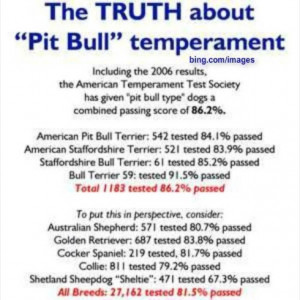 The truth about Pit Bulls. Learn it :)