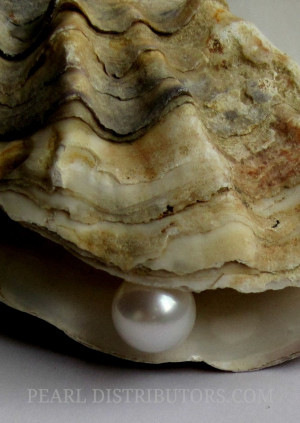 Found on pearldistributors.com