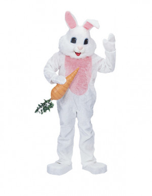 ... bunny another angry bunny angry easter rabbit cat in an easter bunny