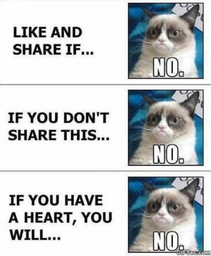 Grumpy Cat vs. Facebook MEME 2015