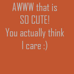 Very Sarcastic Funny Quotes