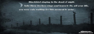 Blackbird Facebook Covers