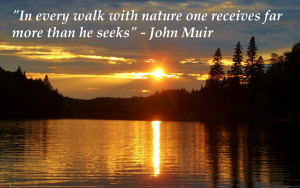 In Every Walk With Nature One Receives