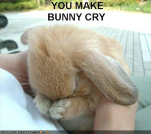 ... .net/images/2011/06/16/funny-pictures-bunny-sad_130822884269.jpg