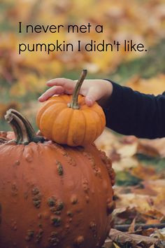 fall quotes pumpkin quotes quote autumn autumn quotes love quotes