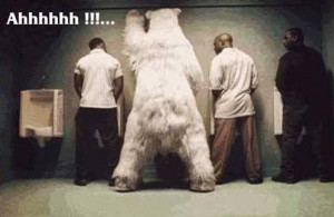 Men and polar bear using urinals