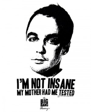 description funny quotes on big bang theory funny comment on pictures ...