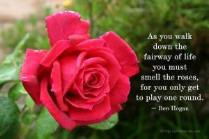 roses quotes and sayings Essentials