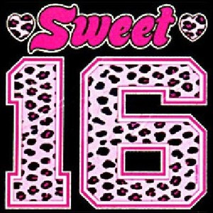 Sweet 16 - Sayings and Quotes T Shirts -amp; Apparel - transfers ...