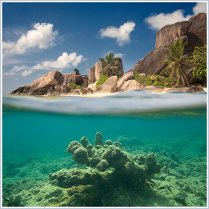 Far Away From Friday Quotes