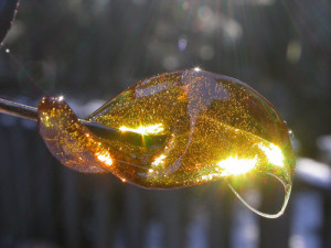 oil bho dabs errl 710 wax