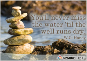 Motivational Quote - You’ll never miss the water ‘til the well ...