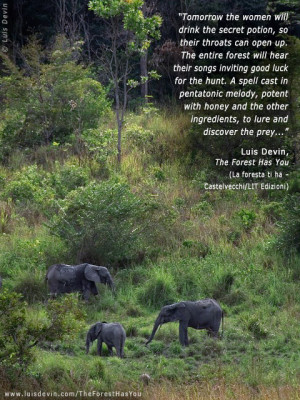 African elephants, from Luis Devin's anthropological research in ...
