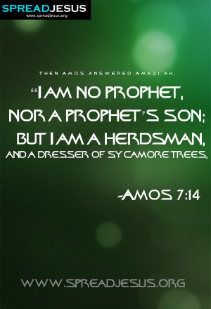 Amos Quotes From the Bible