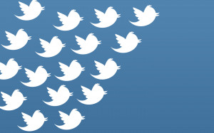Birds Feather Flock Together