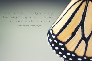 Email This BlogThis! Share to Twitter Share to Facebook Share to ...