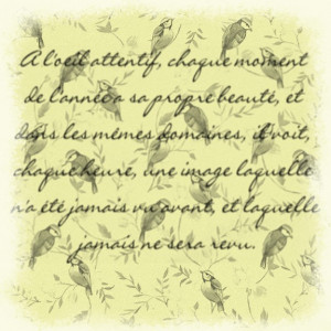 Products of My Creativity: Vintage Looking French Quotes Printables