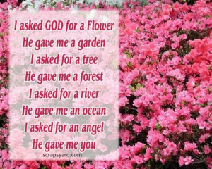 god for a flower he gave me a garden i asked for a tree he gave me ...