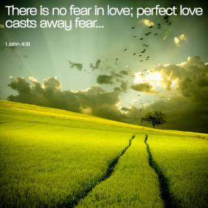 There is no fear in love. But perfect love drives out fear, because ...