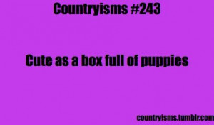 Southern Belle Quotes | ... countryisms south southern southern belle ...