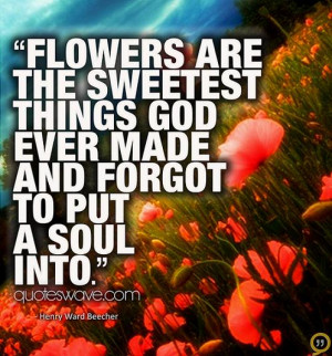Flowers are the sweetest things God ever made and forgot to put a soul ...