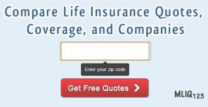 Life Insurance Quotes Online