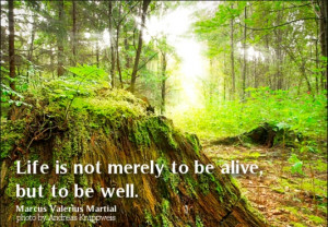 Life is not merely to be alive, but to be well.