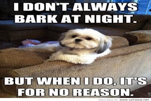 Don’t Always Bark At Night. But When I Do, It’s For No Reason.