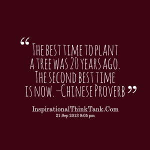 Quotes Picture: the best time to plant a tree was 20 years ago the ...