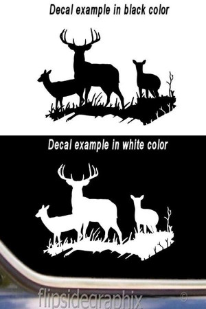 Whitetail Deer Hunting Quotes