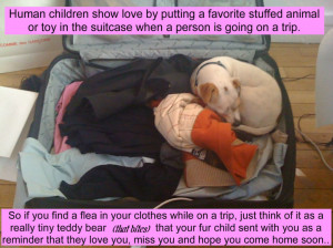 ... Show Love By Putting A Favorite Stuffed Animal - Children Quote