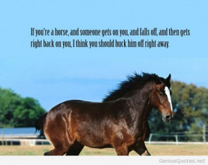Good Morning Quotes With Horses