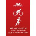 13x19) Triathlon Motivational Quote Sports Poster Print