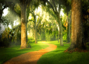 Not all of life's paths are this lovely!