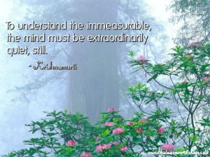 To understand the immeasurable, the mind must be extraordinarily quiet ...
